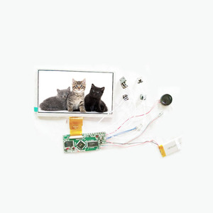 10.1 Inch <strong>Lcd</strong> Display <strong>Module</strong> with <strong>Lcd</strong> Screen and Function Buttons