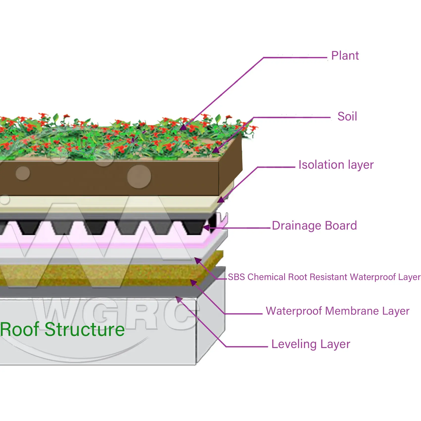 Plant Root for Chemical Root Resistant and Puncture Resistant SBS Modified Asphalt Waterproof Membrane