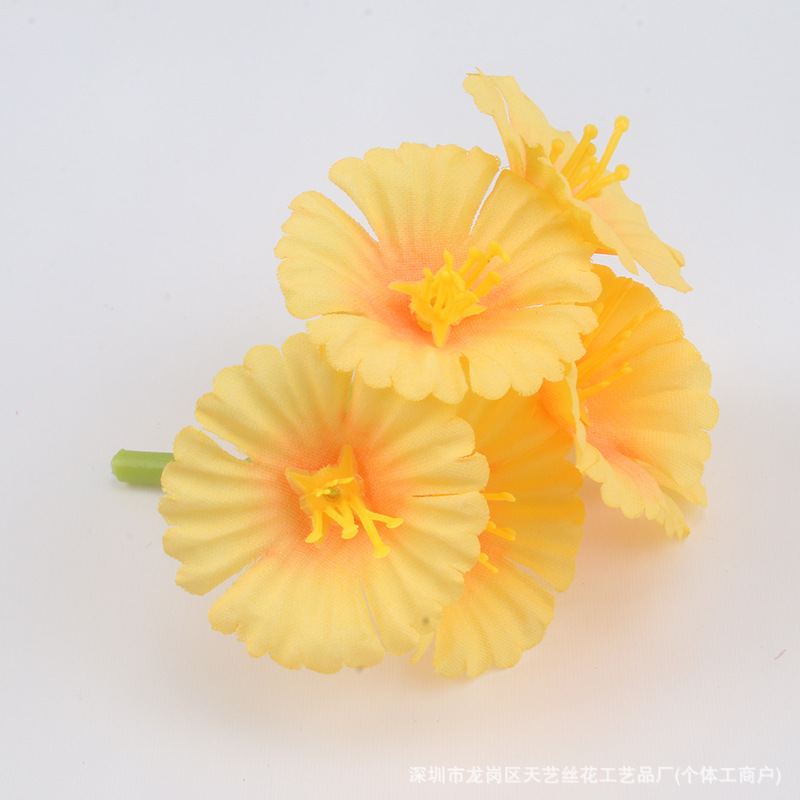 orange color