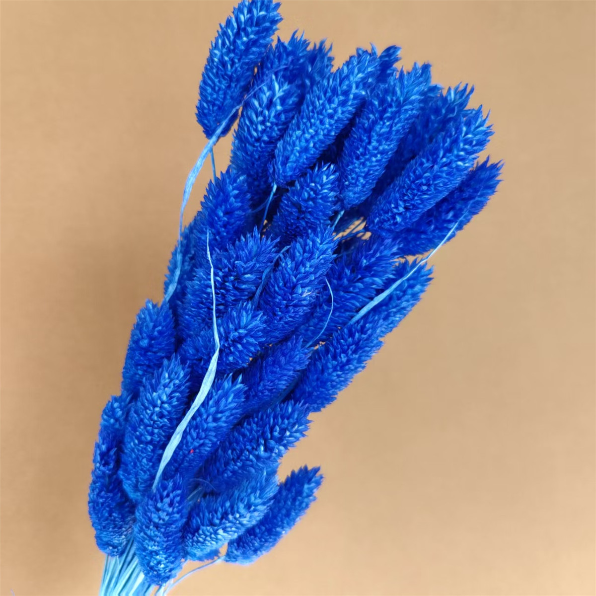 Blu scuro