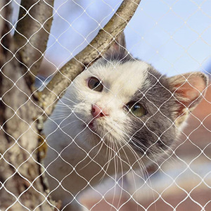 Sturdy Plastic <strong>PP</strong> Mesh Balcony Protection <strong>Net</strong> for Cats Customizable <strong>Gardening</strong> <strong>Net</strong> to Prevent Escaping and Falling From Balcony - Product Image 2