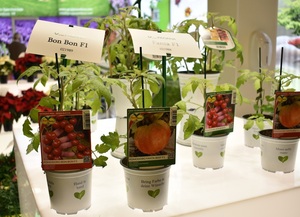 種子の成長ポット用弾性ひも付き防水野菜プラスチックタグフルーツ型ラベル - Product Image 6