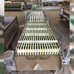 Factory Price Automatic <strong>Cucumber</strong> Grading <strong>Machine</strong> <strong>Cucumber</strong> <strong>Sorting</strong> <strong>Machine</strong> - Product Image 4