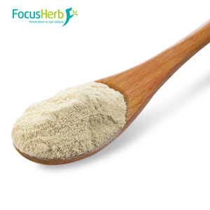 Focusherb USA kho kho Chất lượng cao tự nhiên Natto chiết xuất serine protease bột 20000fu/G Nattokinase bột - Product Image 2