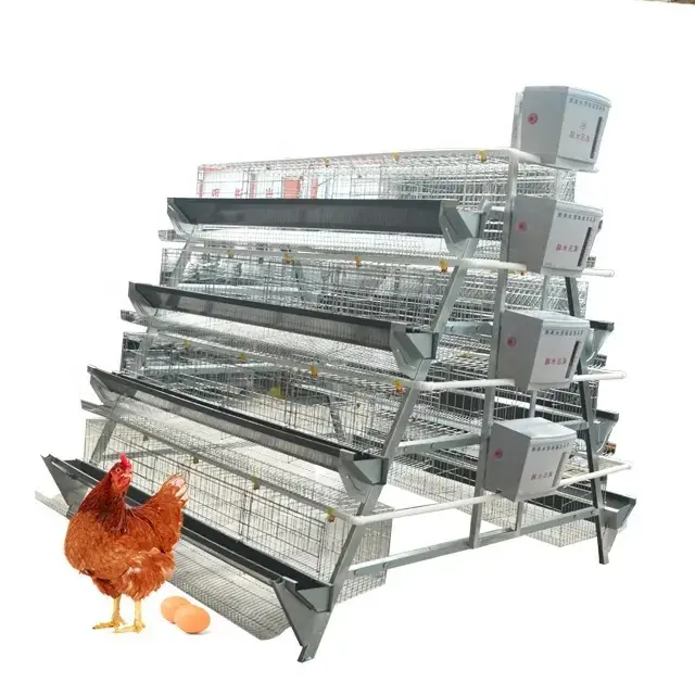 Desain Modern Peternakan Ayam Baterai Otomatis 3 Tingkatan 4 Tingkat Hari Bayi Brooder Kandang Ayam