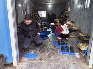 Factory 1 Inch <strong>High</strong> <strong>Pressure</strong> <strong>Hose</strong> Crimper Manual Finn Power P16hp Hydraulic <strong>Hose</strong> <strong>Crimping</strong> <strong>Press</strong> Machine Low Price