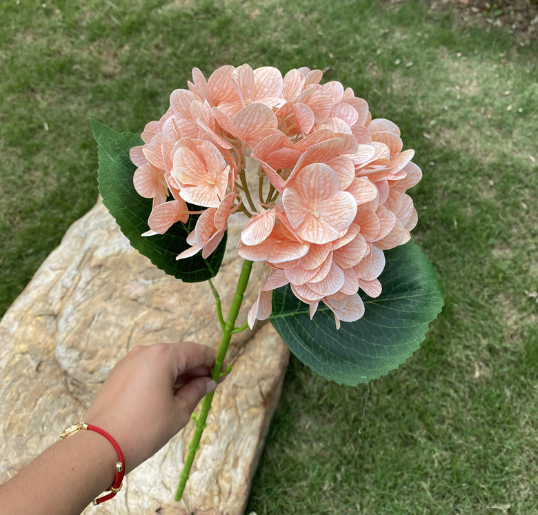 80cm single head hydrangea champagne