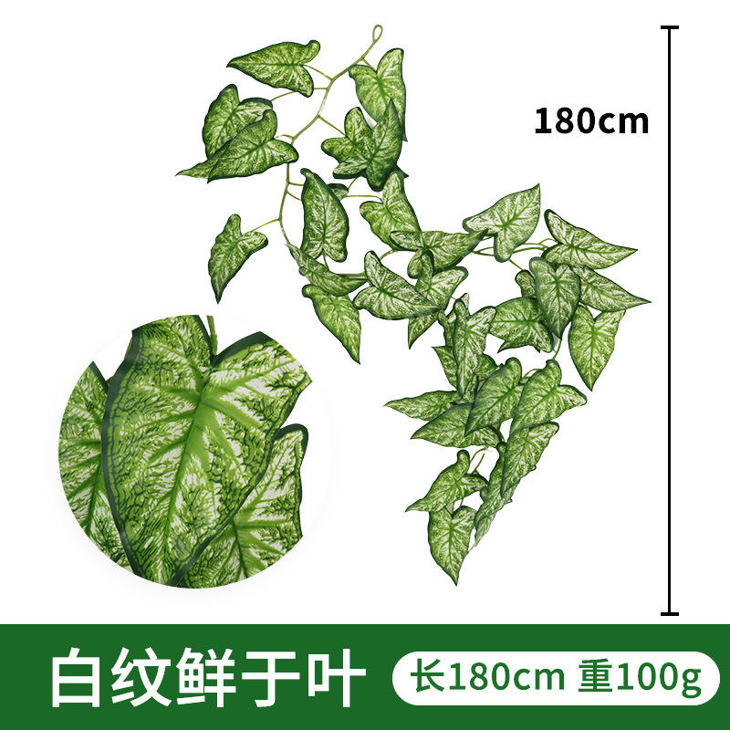 Fée grain blanc en rotin nordique dans la feuille