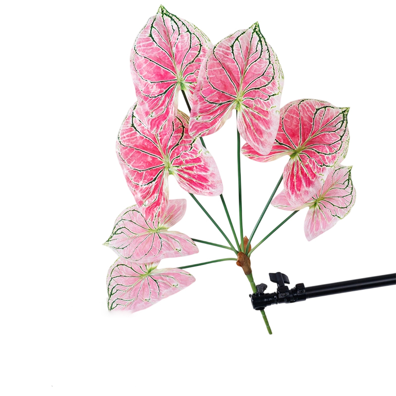 Pink 70cm