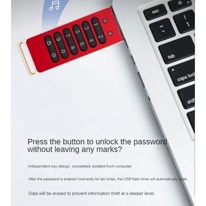 Sicheres Flash-Laufwerk mit automatischer Sperr funktion AES256-bit Hardware-Passwort verschlüsselt USB-Speichers tick