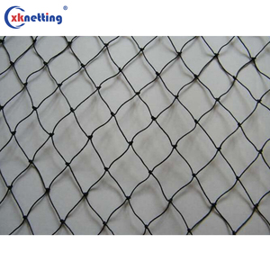 25' X 25' Professional Bird <strong>Netting</strong> 3/4inch Mesh for Sparrows, <strong>Swallows</strong> and Small Birds, Bird Control <strong>Netting</strong> for Balconies - Product Image 1