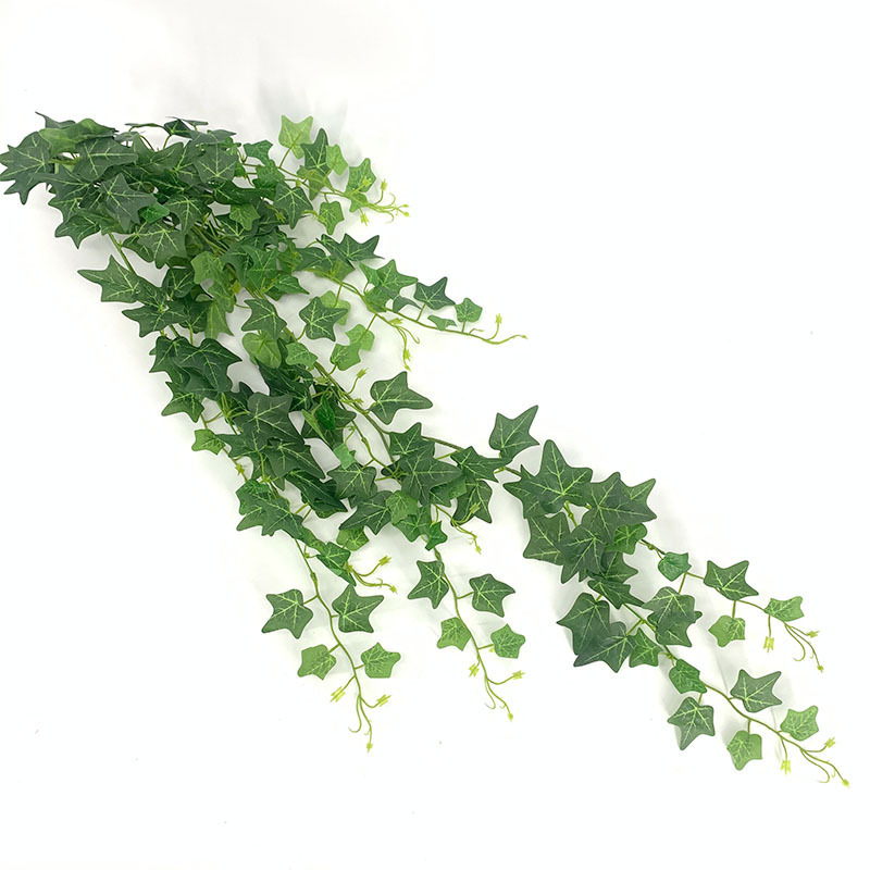 Green-5
