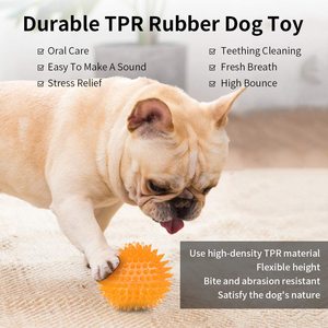 Pet gıcırtılı başak <span class=keywords><strong>Ruber</strong></span> topu interaktif köpek topu oyuncak dayanıklı TPR köpek çiğnemek oyuncak köpek diş temizleme için