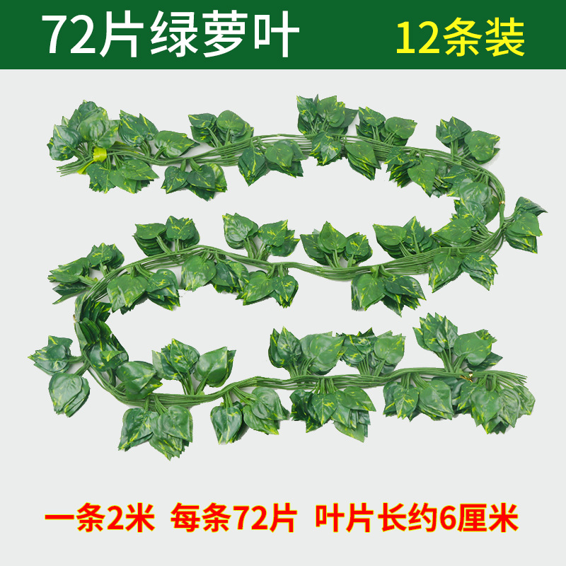72 feuilles de pothos vertes imprimées - 12 bandes