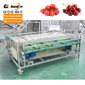 Máquina clasificadora de dátiles secos de alta eficiencia XINLONGJIA/máquina clasificadora de Frutas/máquina clasificadora de maracuyá - Product Image 5