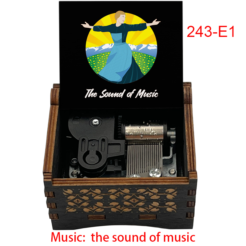 Noir 243-E1