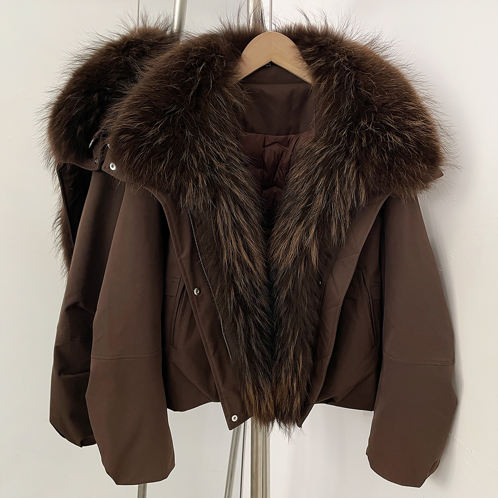 Raton laveur brun-brun