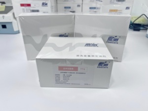 Wondfo Finecare Test Kit <strong>T4</strong> (Thyroxine) Rapid Quantitative Test Thyroid Function FT4 FT3 TSH Finecare Kit for FS113 FS114 FS205 - Product Image 2