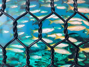 Profession elle Fabrik Polyester Sechseck Mesh Maschine Tiefsee Fischzucht Net Cage Maschine - Product Image 2