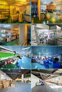 VATN HTN FSTN STN Segmentbildschirm anpassbares LCD statisches TN-Display anpassbares VA-LCD für Temperaturregler