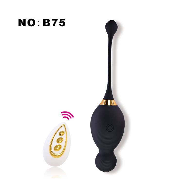 B75-wireless remote control-BLACK
