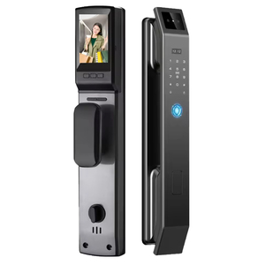 3D yüz tanıma ile onakıllı kapı kilidi parmak izi şifre otomatik ve akıllı giriş kapısı için kamera içerir - Product Image 1