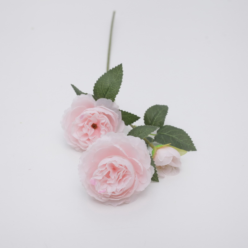 Rosa claro