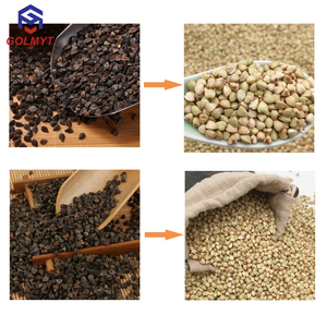 Automatic Nut Grading Crushing Hazelnut Breaking Cracking <strong>Shelling</strong> Processing Line Almond Cracker <strong>Machine</strong> - Product Image 6