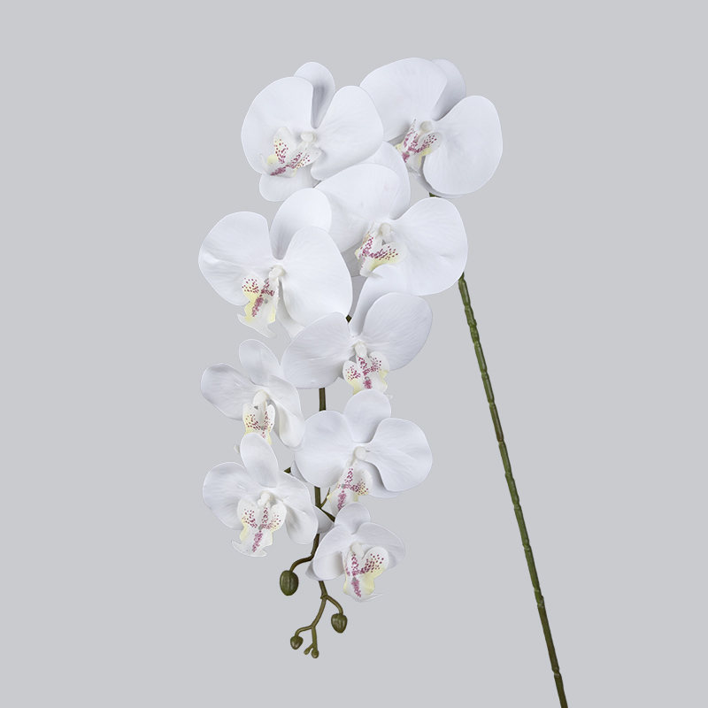 PU 9 Orchidée-Blanc