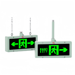 IP54 IP67 220VAC đơn đôi bên treo loại dẫn lối ra dấu hiệu ánh sáng cho trường hợp khẩn cấp mô hình tùy chỉnh ngôn ngữ phong cách - Product Image 1