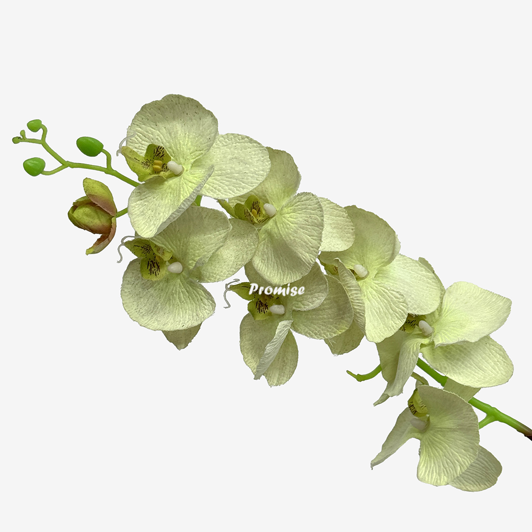 PLF-183-2