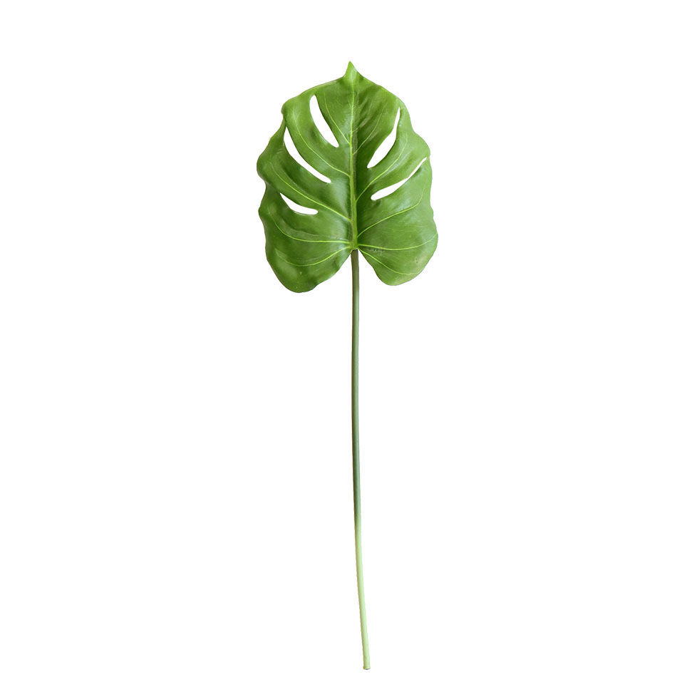 Turtleback leaf-L 75cm-Green