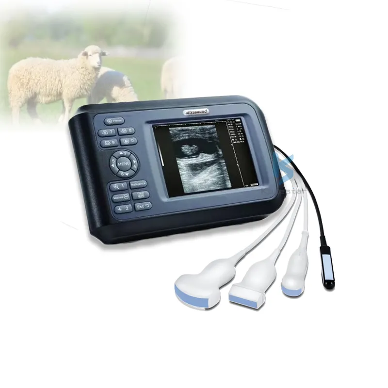 Test di gravidanza animale attrezzatura veterinaria ultrasuoni portatili in felino bovino