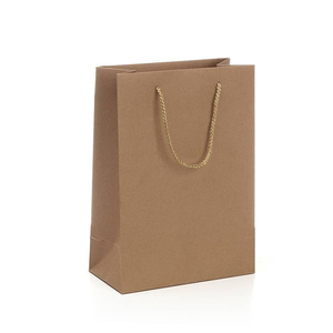 私人定制环保Diy手工服装购物包装坚固耐用的普通纸袋，带绳柄 - Product Image 1