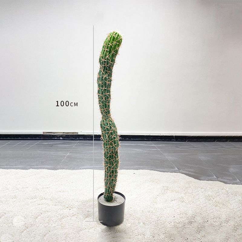 100cm