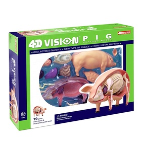 4D Master kabarık domuz anatomi modeli kök biyoloji şekil 4D görüş plastik montaj çiftlik hayvan bilim mühendislik oyuncaklar için Set - Product Image 4