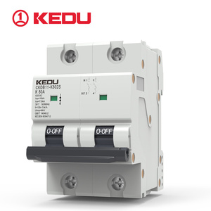 Seguridad MCB 80-125A Tipo de disparo diferente CKDB11 1P/2P/3P/4P mini disyuntor