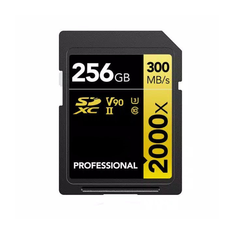 256GB