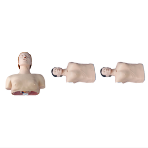 ADA <strong>Basic</strong> CPR Training Model (Half Body) and Half Body CPR Training Model (Male) with Half Body CPR Training Model (Female) - Product Image 1