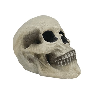 Skelett Knochen realistische Scheiben menschliches Skelett für Halloween - Product Image 1