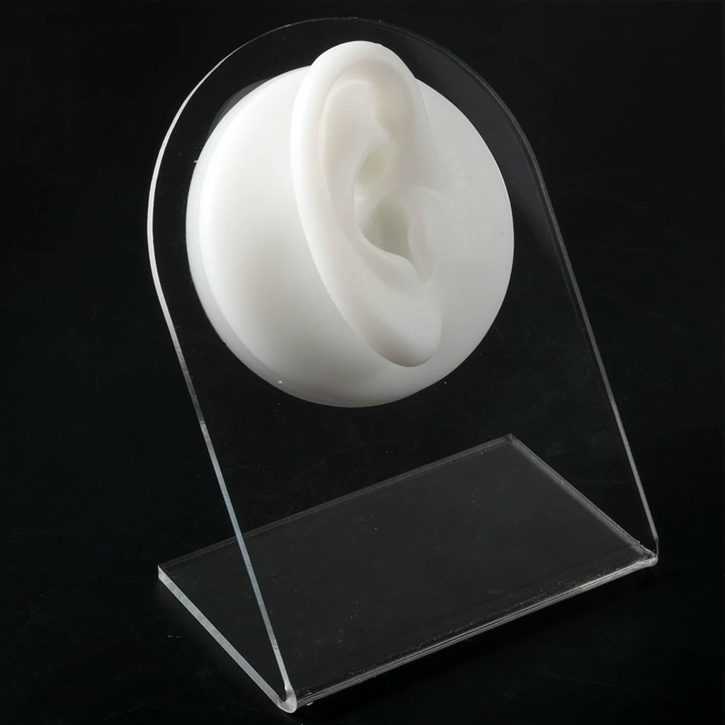 Oreja derecha blanca