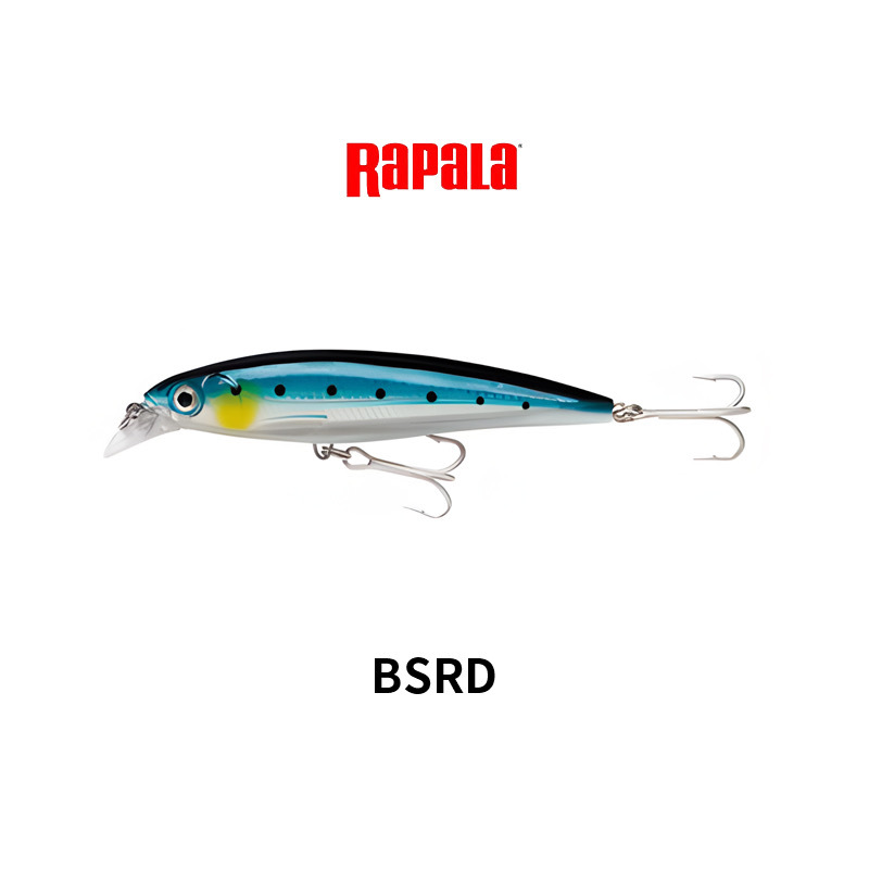 Bsrd