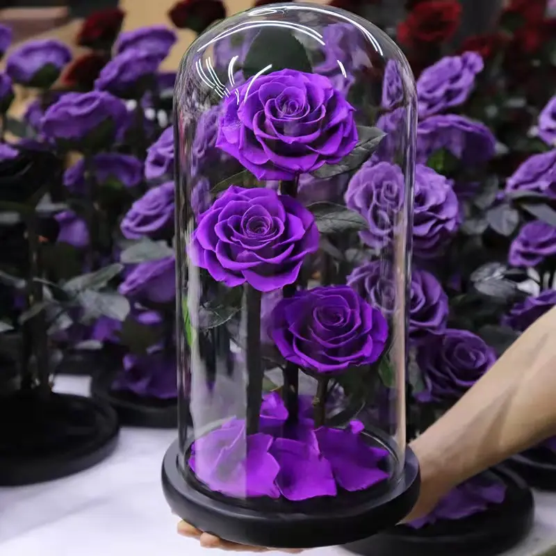 Flor eterna inmortal auténtica de lujo, decoración, flor de amor de la vida preservada, 3 rosas en cúpula de cristal