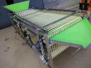 1000kg/h Cherry Tomato Sorter Tomato Grader <strong>Machine</strong> Tomato <strong>Red</strong> <strong>Dates</strong> <strong>Sorting</strong> <strong>Machine</strong> Fruit Grading <strong>Machine</strong> - Product Image 5
