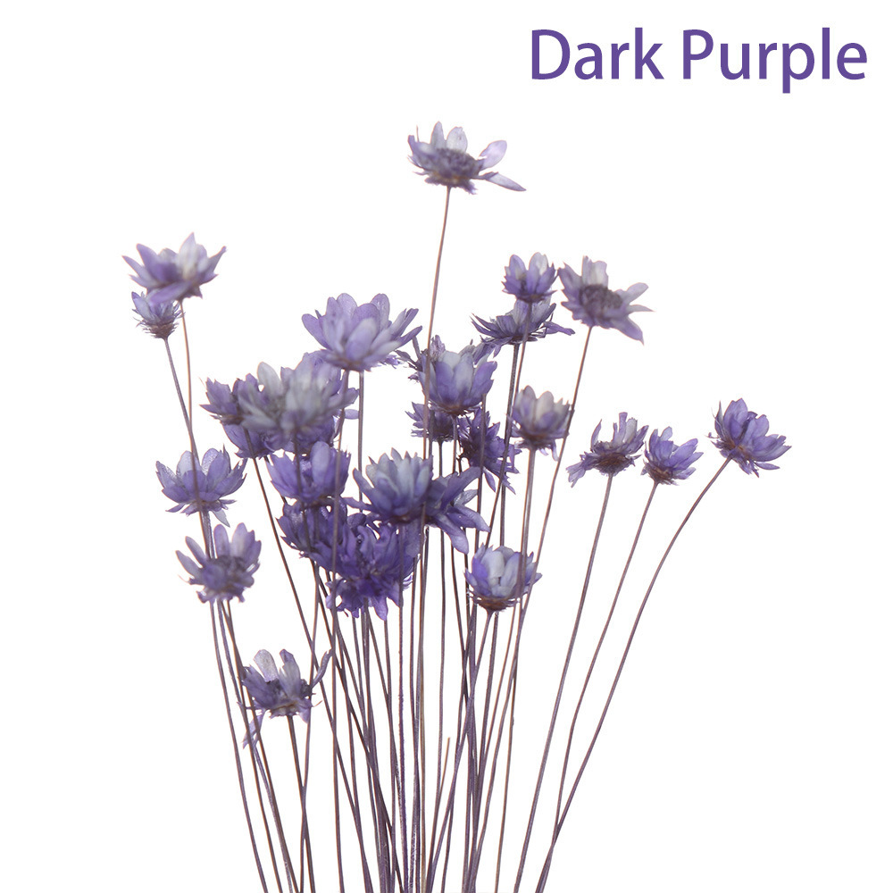 Mazzo viola scuro da 30 pezzi