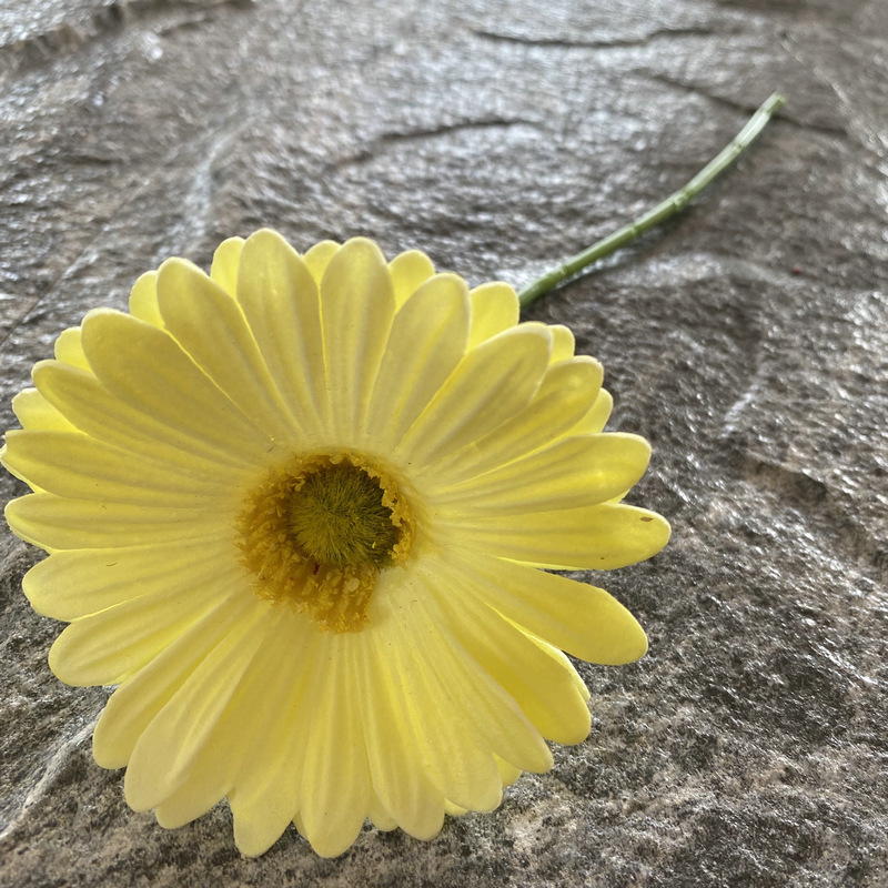 Amarillo