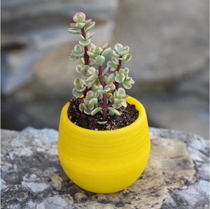 Colorful Small Flower <strong>Pots</strong> for Succulent <strong>Plants</strong> in Various Sizes with <strong>Stone</strong> Patterns - Product Image 3