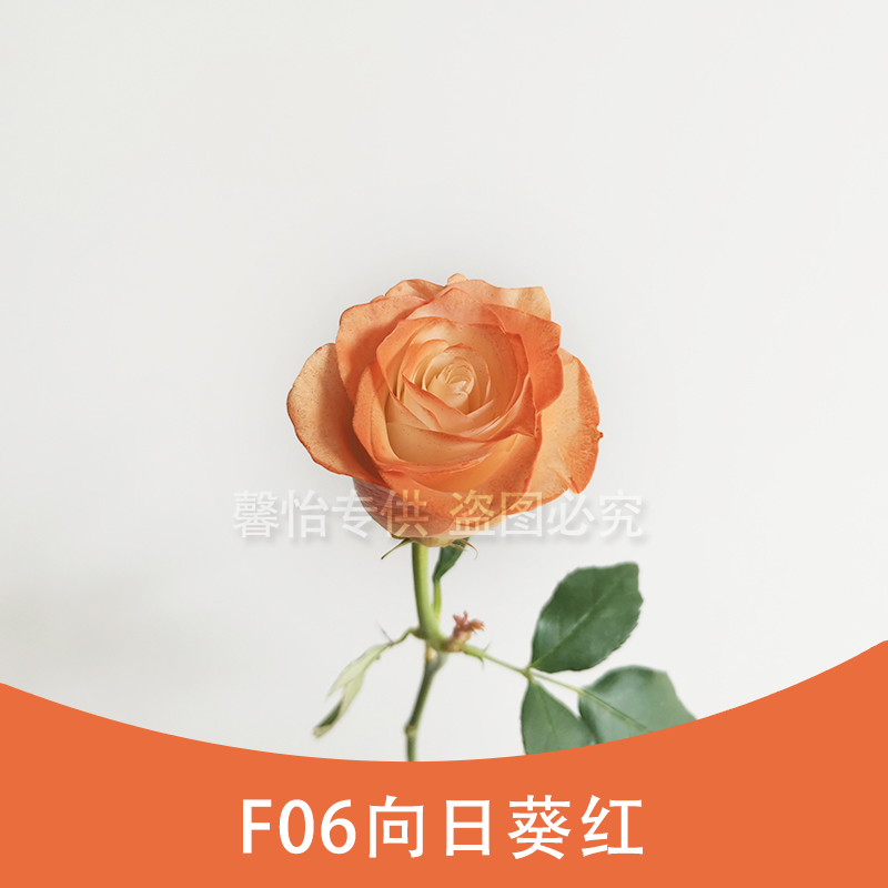 F06 Red Orange