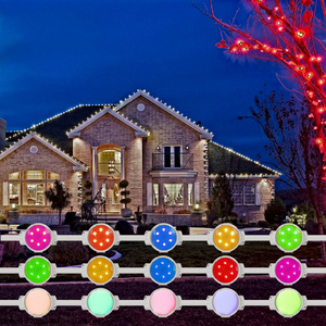 Programmazione 5050 RGB Led 48v Point Lights LED Pixel Light impermeabile IP68 Led Pixel Point Lighting - Product Image 1