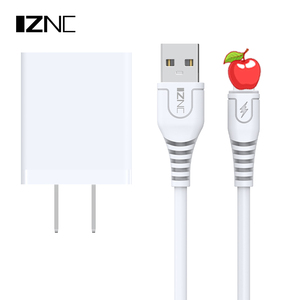 Taşınabilir evrensel taşınabilir tek kullanımlık SYNC 5v 2.4A Usb c duvar şarj apple IC ile cep telefonları için - Product Image 6